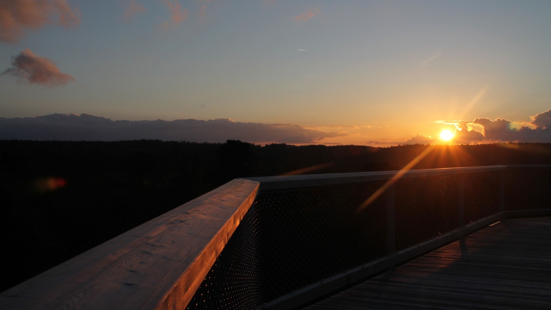 Sonnenuntergang auf dem Baumwipfelfad in Bad Wildbad