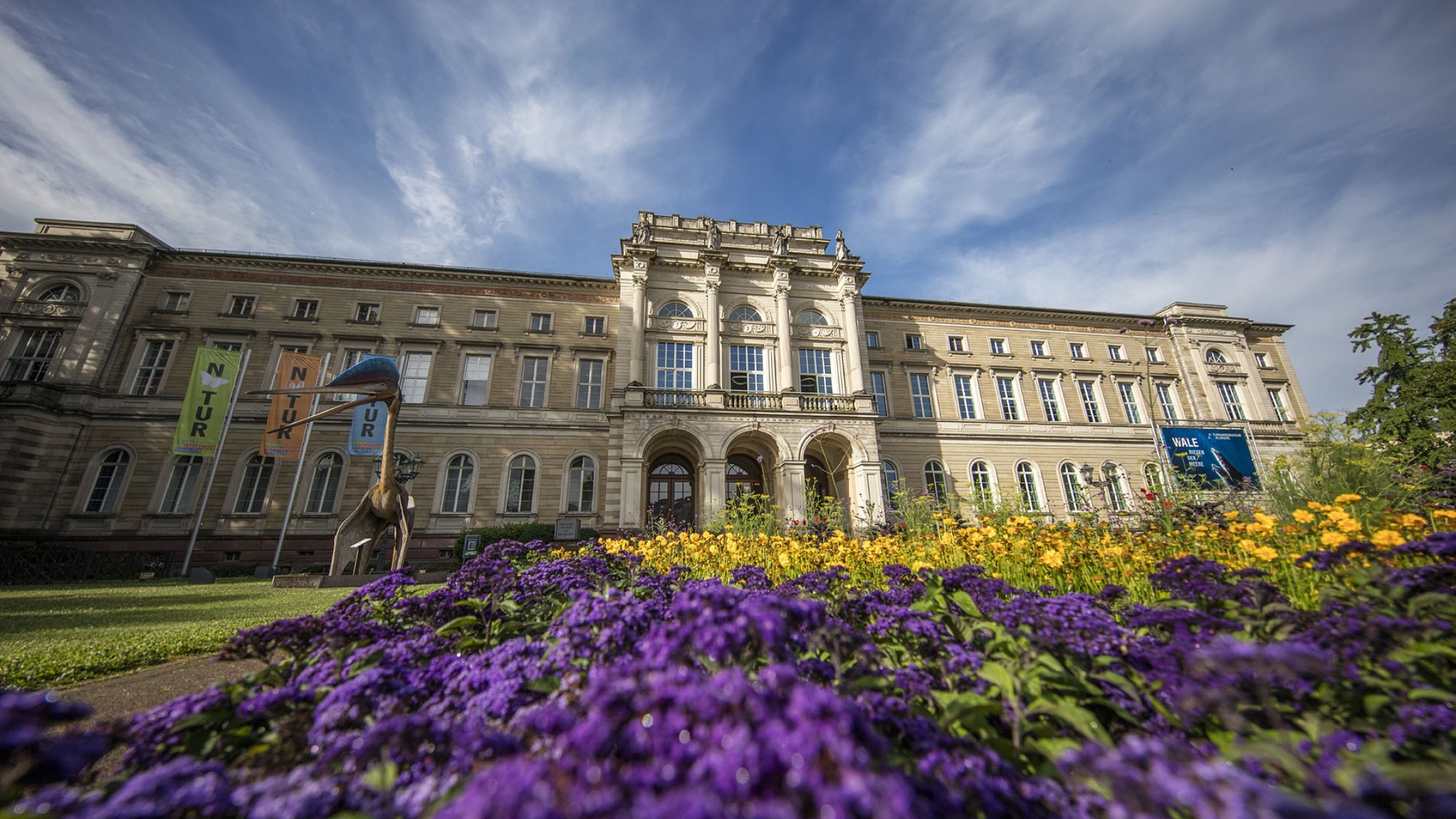 Naturkundemuseum in Karlsruhe im Sommer