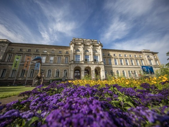 Naturkundemuseum in Karlsruhe im Sommer