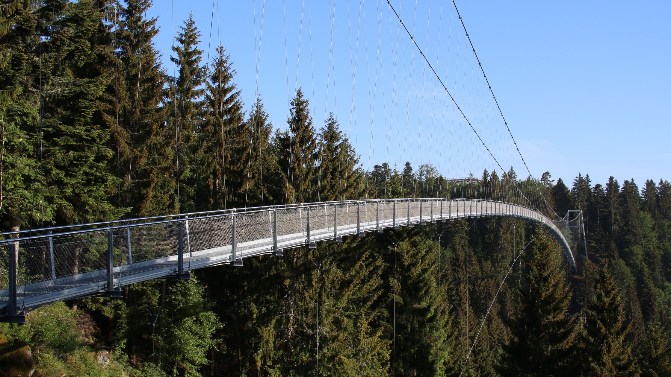 Hängebrücke im Wald Bad Wildbad