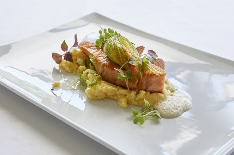 Food Impression Fisch Food Impression Fisch