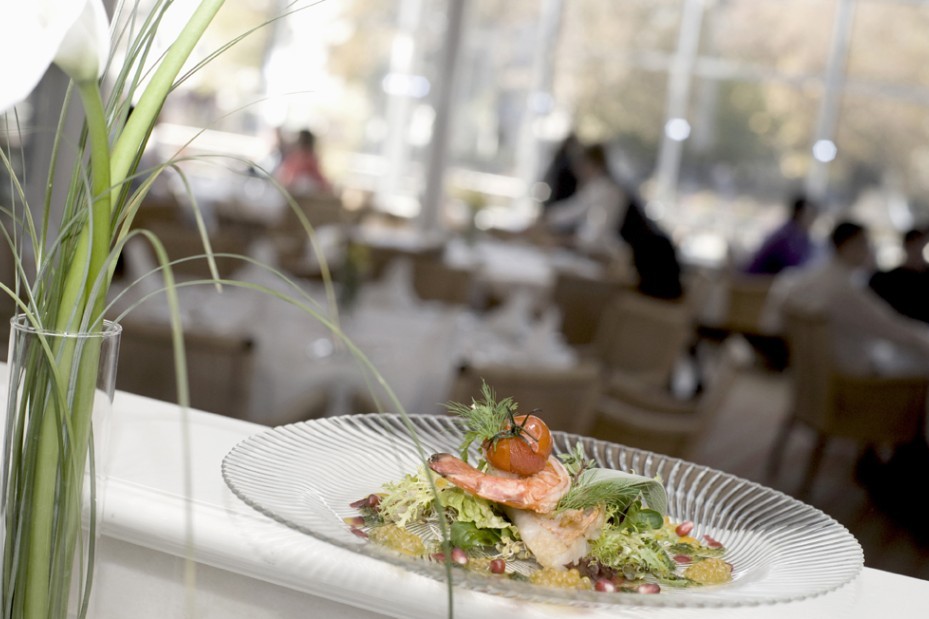 Vorspeisen Salat im Restaurant