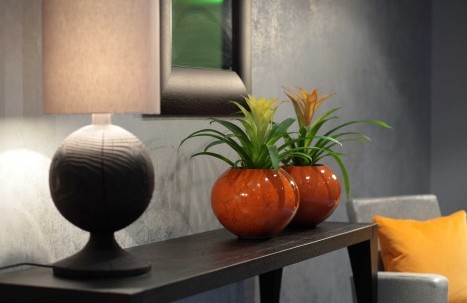 Impressionen des Fahrstuhl Vorraums mit Pflanzen